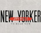25 New Yorker Design Stories to Read Now