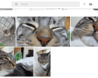 Even if You Uninstall Google Photos, it will Keep Uploading your Pics