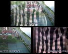 Wow: This Algorithm Can Separate Reflections from Photographs