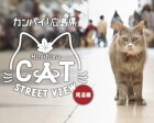 Cat Street View - Explore Japan... As a Cat...