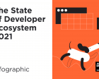The State of Developer Ecosystem in 2021 Infographic