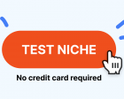 How to Test your Niche UI/UX Service Idea Without Taking Big Risks