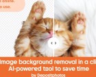 Image Background Remover - AI-powered Tool to Remove and Edit Image Backgrounds